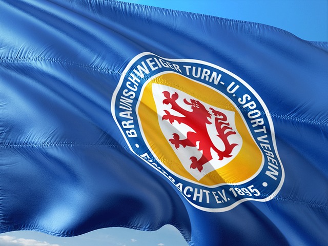 葡萄牙的顶 葡萄牙的顶