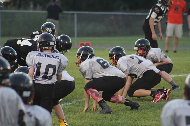 分析他们的 分析他们的