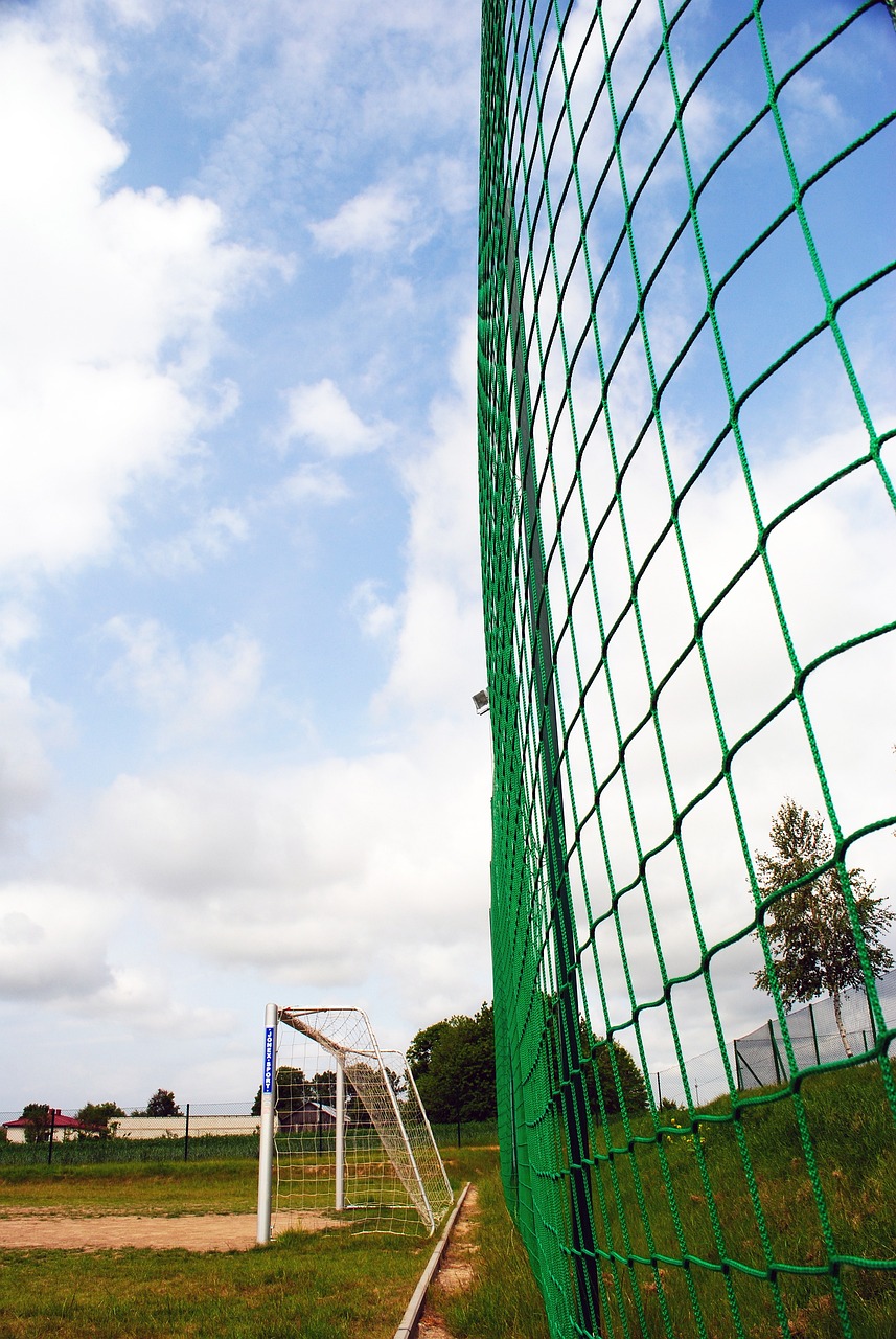 媒体对他的 媒体对他的