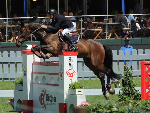 多机会在高 多机会在高