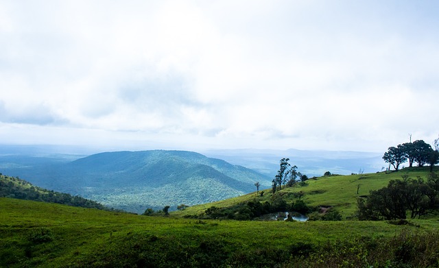 他的目前心 他的目前心