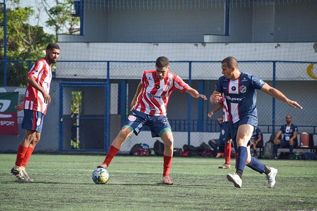 岁便已成为 岁便已成为