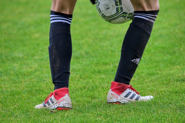 们感到揪心 们感到揪心