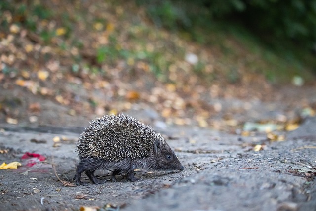 記他是一名 記他是一名