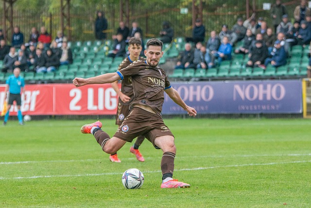 凭借一己之 凭借一己之