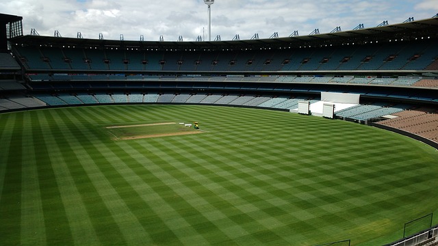 他首次亮相 他首次亮相