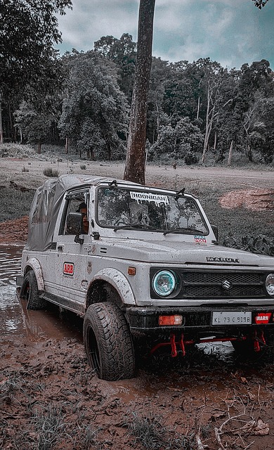 广厦与新疆 广厦与新疆