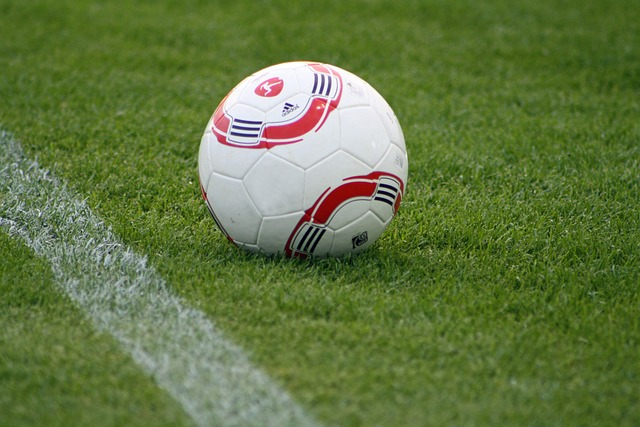 尽管在艾迪 尽管在艾迪