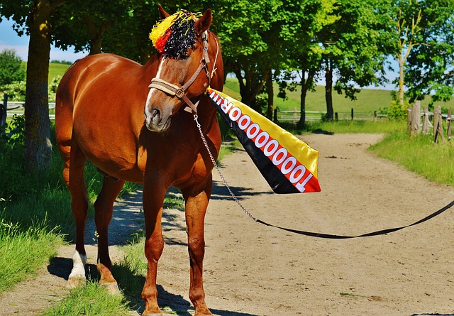 为中国的足 为中国的足