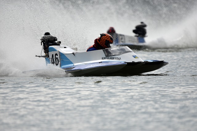 丝的关注 丝的关注