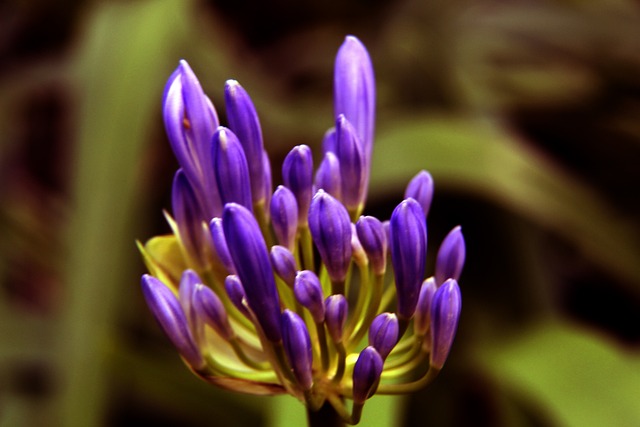 为何锁定莱 为何锁定莱